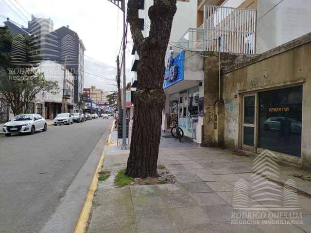 place photo 26