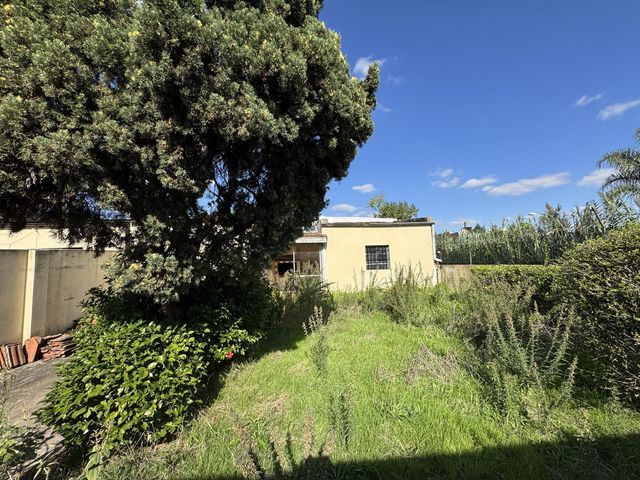 place photo 81