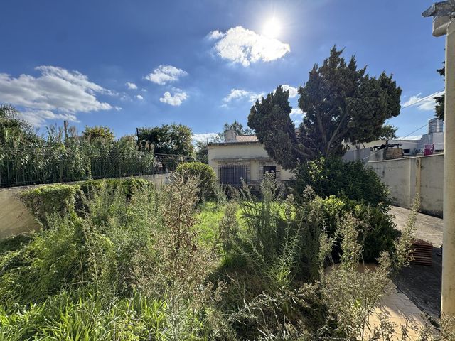place photo 80