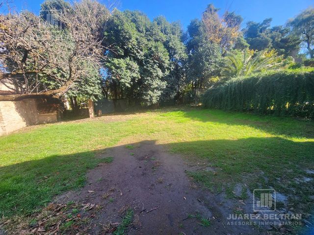 place photo 31
