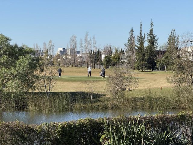 place photo 32