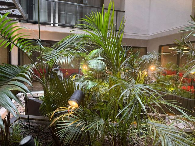 place photo 13