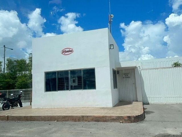 place photo 14