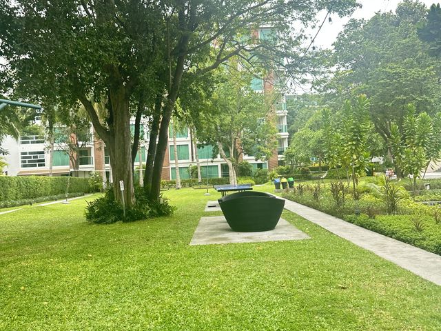 place photo 27