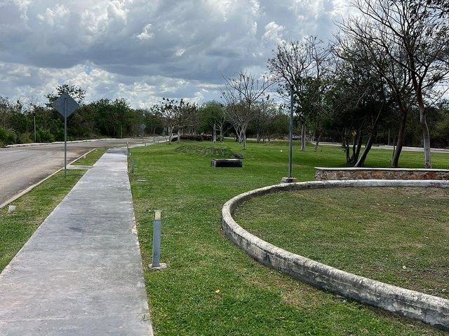 place photo 19