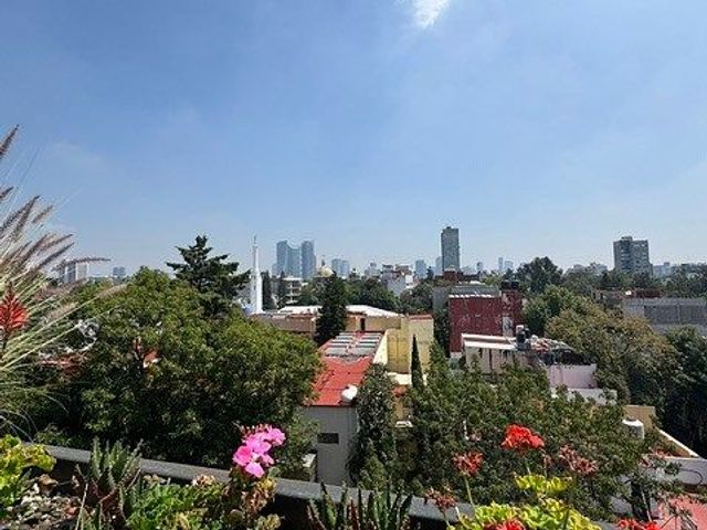 place photo 32