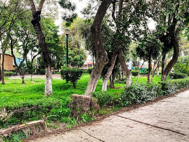 place photo 12