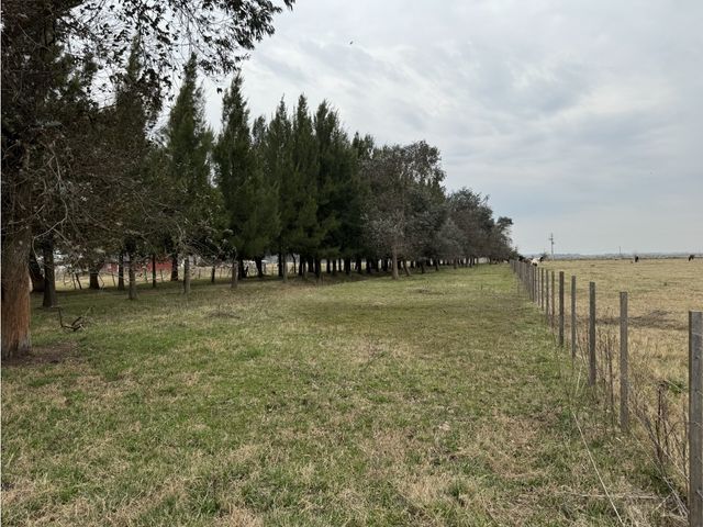 place photo 27