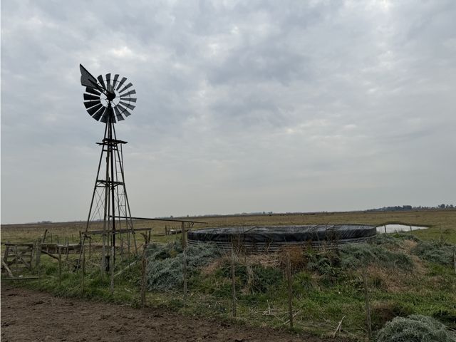 place photo 22