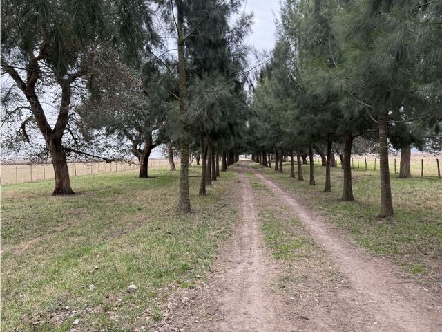 place photo 30