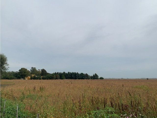 place photo 29