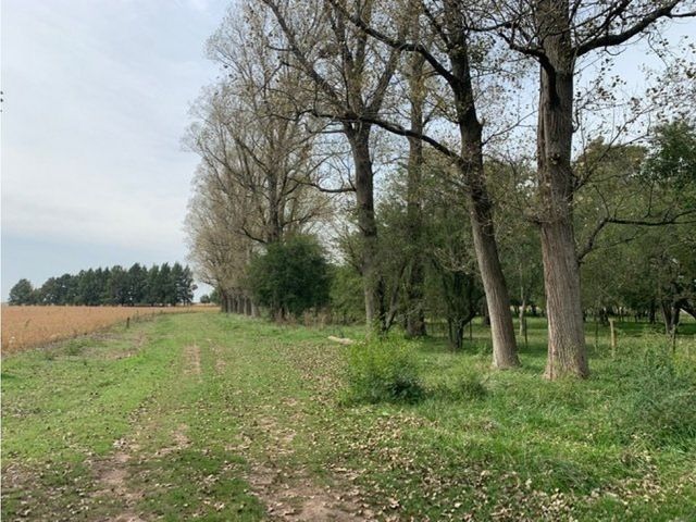 place photo 33
