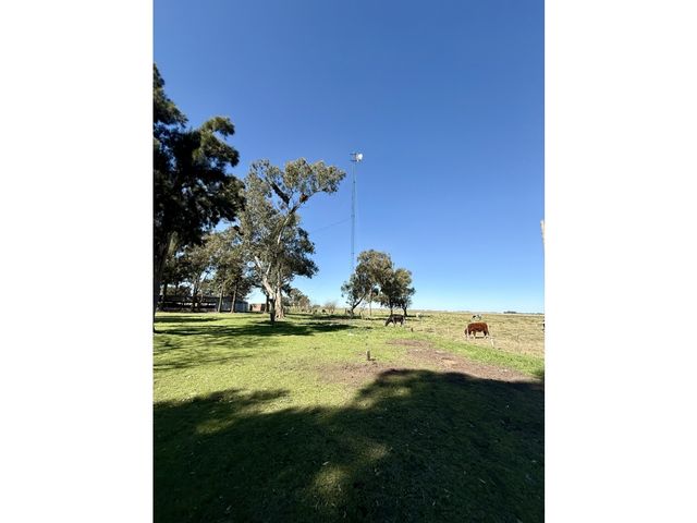 place photo 15