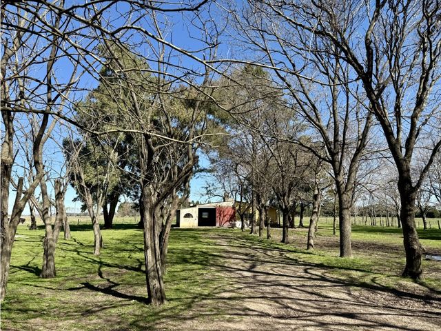 place photo 8