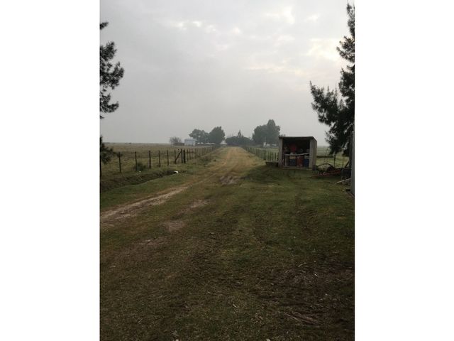 place photo 20