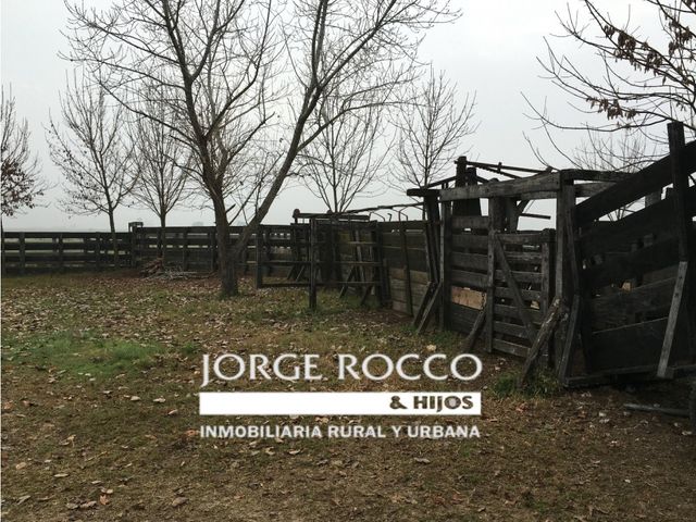 place photo 27