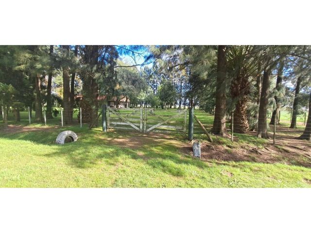place photo 9