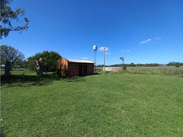 place photo 17