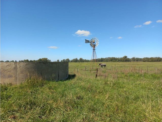 place photo 22