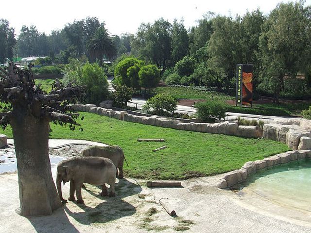 place photo 18
