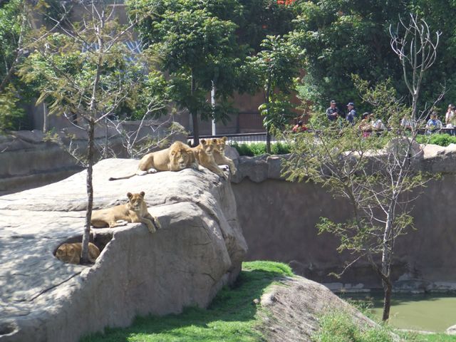 place photo 17