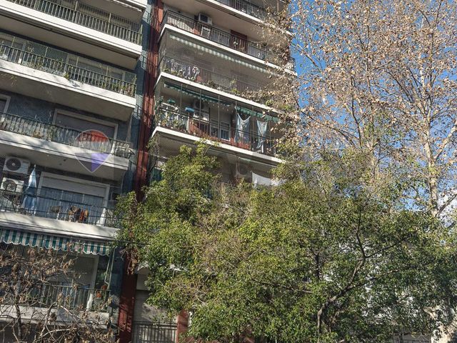 place photo 44