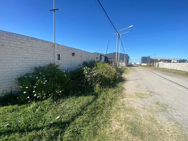 place photo 18