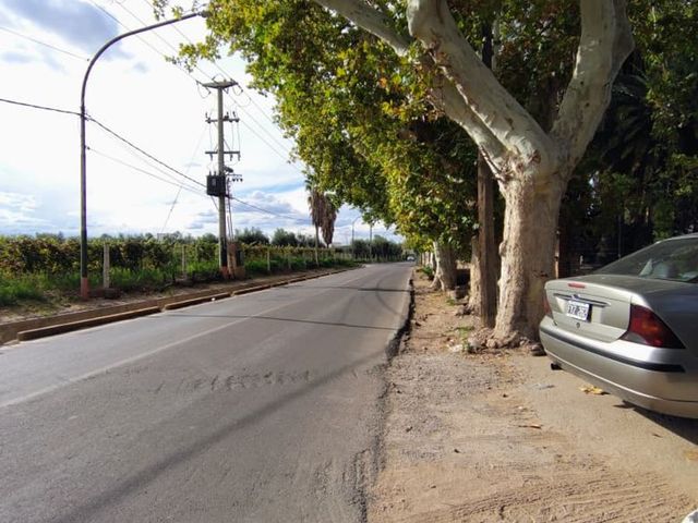 place photo 9