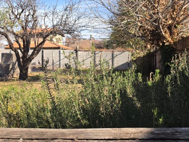 place photo 30