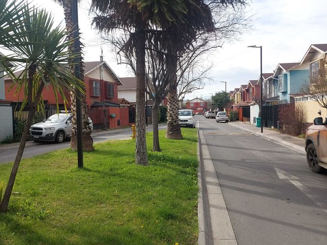 place photo 23