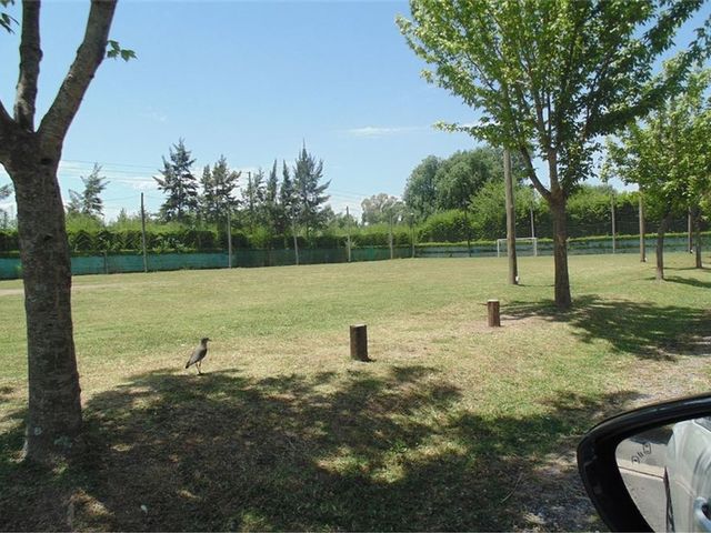 place photo 39