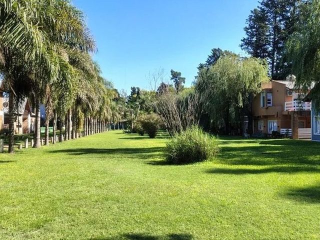 place photo 38