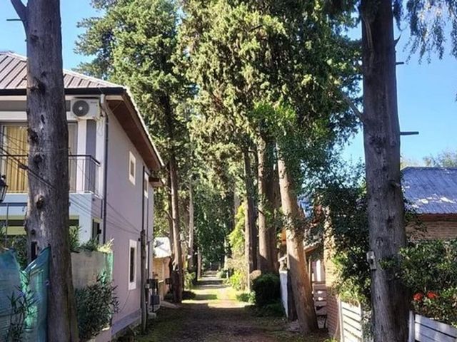 place photo 34