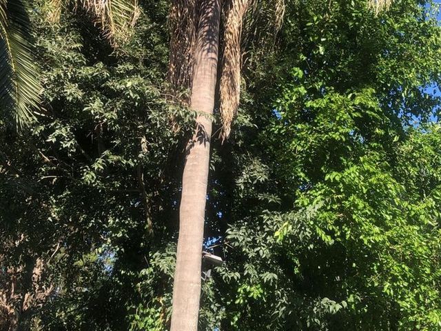 place photo 31