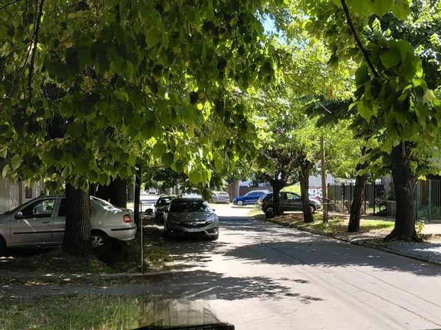 place photo 22
