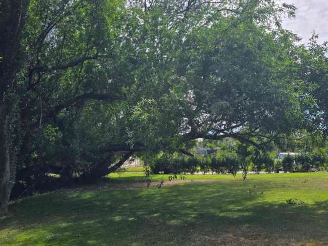place photo 38