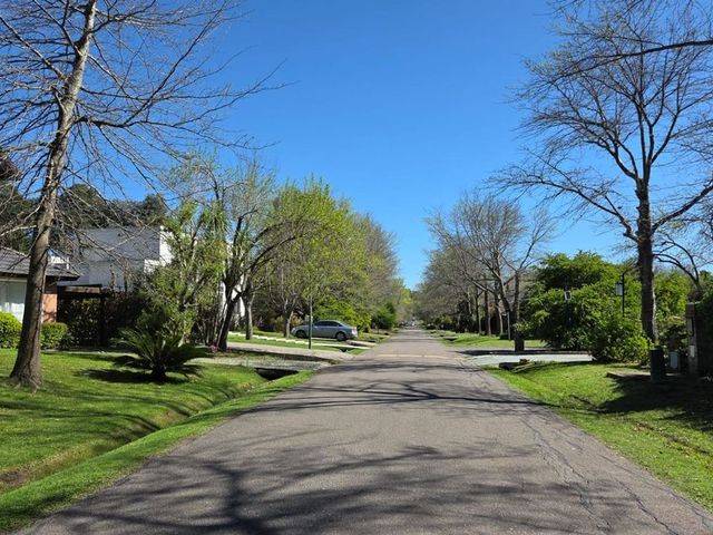 place photo 46