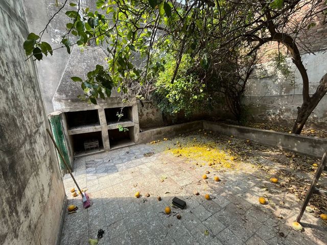 place photo 32
