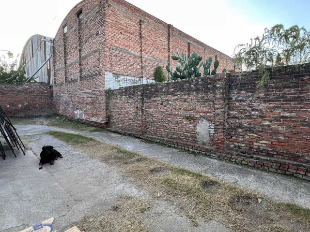 place photo 22