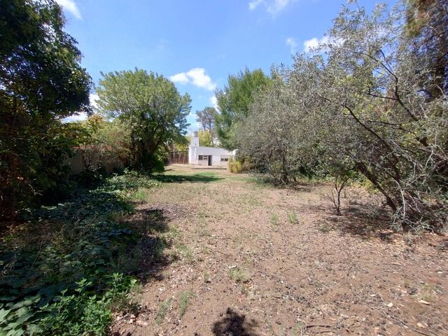place photo 19
