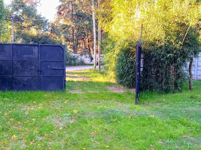 place photo 23