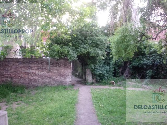 place photo 15