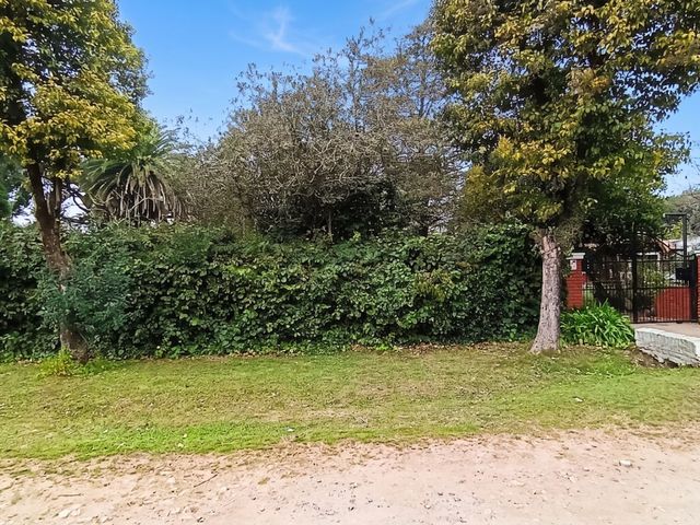 place photo 37