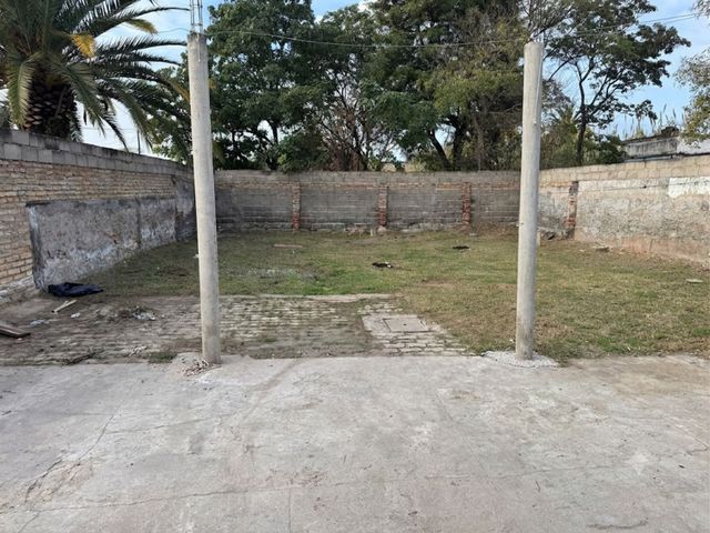 place photo 15