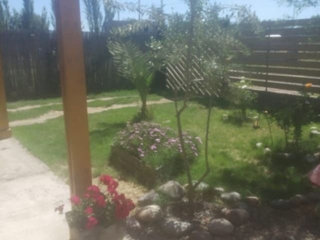 place photo 26