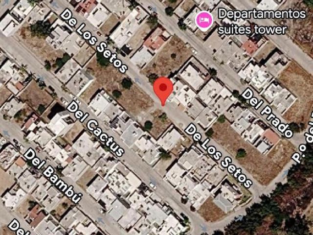 place photo 4