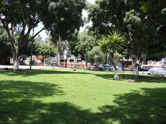 place photo 21