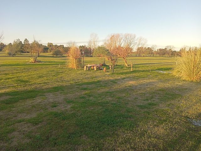 place photo 56