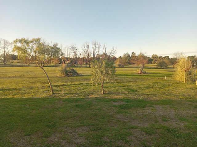place photo 57