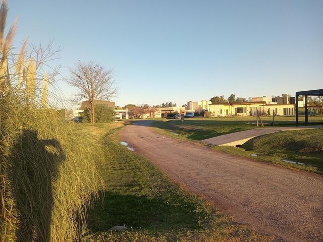 place photo 53